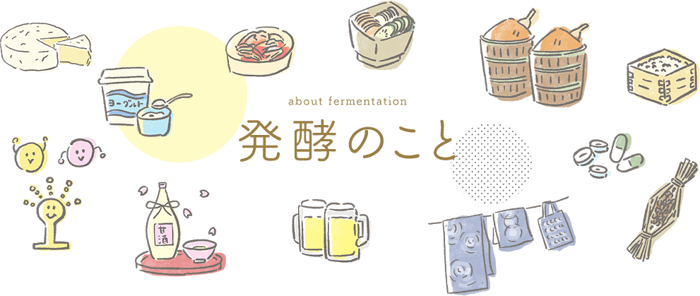 発酵のこと
