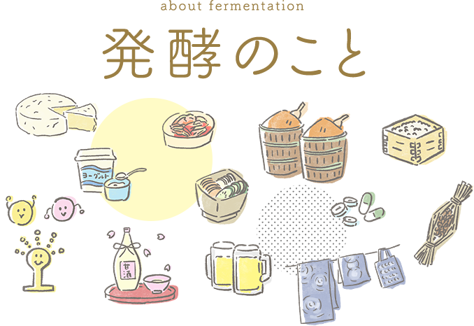 発酵のこと