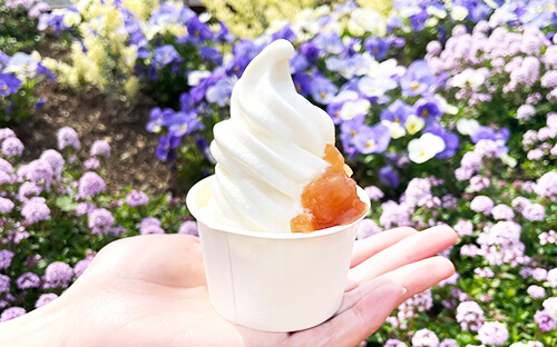 りんごのコンフィチュールトッピング 糀ソフトクリーム